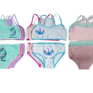 Conjunto Principante Juvenil